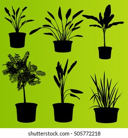 House plants in flower pots set isolated vector background