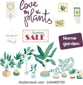 House plants. Flowerpot isolated objects, houseplant flower pot collection. Home garden clip art illustration. Colorful design. For banner, invete, sale shop, web icon. Hand drawn card