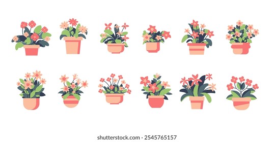 House plants in flowerpot vector set, collection of potted plant, cute flower plant vector set