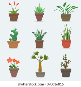 House plants and flowers in pots. Flat style vector illustration.