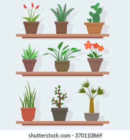 House plants and flowers in pots. Flat style vector illustration.