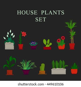 House plants and flowers in pots. Flat style vector illustration. Chlorophytum, cactus, dieffenbachia, sansevera, gippeastrum, aloe vera, yucca, gerbera