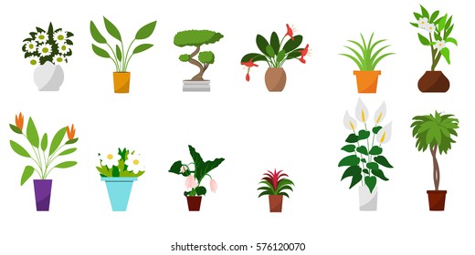 House plants and flowers in pots. Flat style vector illustration. 