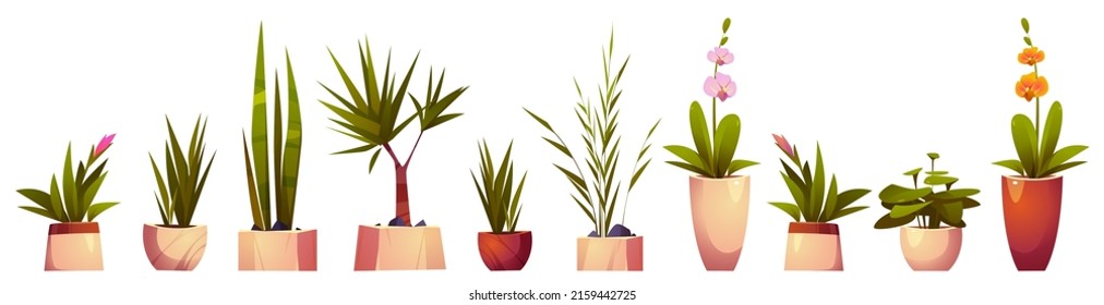 House plants and flowers in pots for home interior decoration. Vector cartoon set of flowers with green leaves and blossoms in planters, palm tree, dracaena and orchid isolated on white background