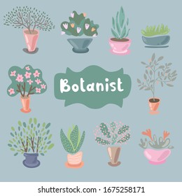 House plants and flowers in pots for interior decoration. Set of adorable miniature plants design elements. Leaf and flowers icon, flowerpot isolated objects. Clip art vector set of flat illustration