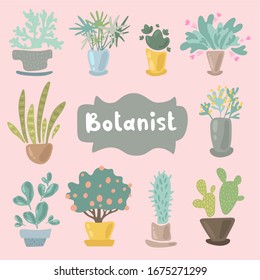 House plants and flowers in pots for interior decoration. Set of adorable miniature plants design elements. Leaf and flowers icon, flowerpot isolated objects. Clip art vector set of flat illustration