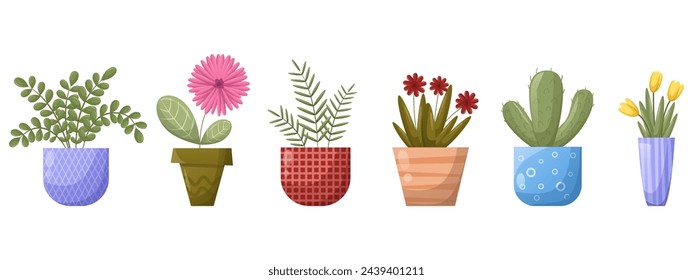 House plants, flowers in pots. Set of vector illustrations on a white background. Bright color palette, patterns, gradient.