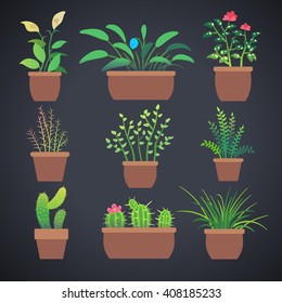 House plants, flowers in pots. Vector home flowers in pots with green leaves