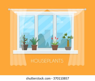 House plants and flowers in pots in window with a curtain. Flat style vector illustration.