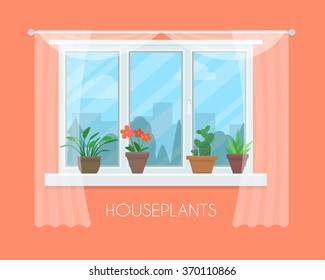 House plants and flowers in pots in window with a curtain. Flat style vector illustration.