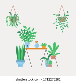 House plants garden. Concept of home gardening with plants in pots. Hand drawn vector illustration in flat style