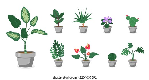 House plants in grey pots standing on shelf vector illustration. Room interior decor. Cactus, succulent, monstera, calla, ficus in ceramic containers. Flowers, plants design element.