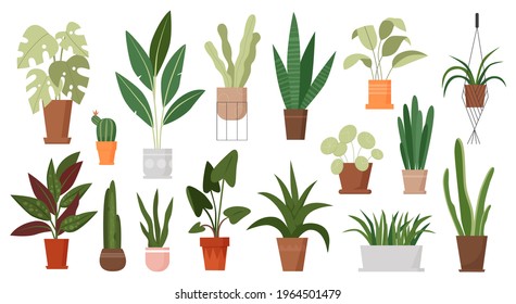 House plants grow in pots vector illustration set. Cartoon green houseplants growing in flowerpot or ceramic container, hanging in macrame of home garden, potted succulent cacti isolated on white - Shutterstock ID 1964501479