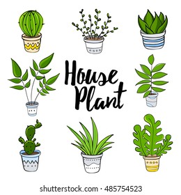 Plantas de la casa dibujando a mano. Doodle. Ilustración vectorial.
