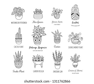 House plants hand drawn illustration set. Simple elegant modern design. Craft concept for home interior decorations, design elements, logos. Isolated house plants collection.
