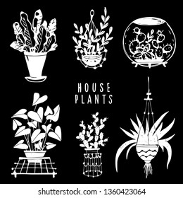 House plants hand drawn set. Potted flowers. Isolated on black background. Handwriting font