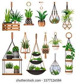 House plants in hanging macrame pots, isolated on white background. Vector flat cartoon illustration of green potted houseplants. Home scandinavian interior decoration design elements.