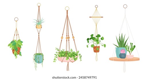 House plants in hanging macrame pots. Home green garden. Vector illustration collection of tropical flowers in hangers. Cute beautiful handmade home or office decoration.