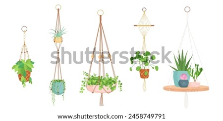 House plants in hanging macrame pots. Home green garden. Vector illustration collection of tropical flowers in hangers. Cute beautiful handmade home or office decoration.