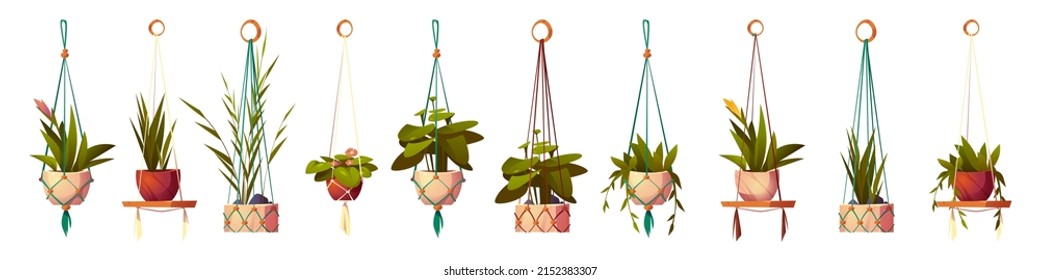 Plantas de casa en macetas colgantes, conjunto aislado de flores en perchas de macrame. Plantadores verdes en portaobjetos hechos a mano hechos de cuerda para decoración interior del hogar sobre fondo blanco, ilustración vectorial de dibujos animados