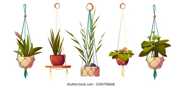 House plants in hanging pots, planters in macrame hangers. Vector cartoon set of flowers in handmade holders from rope for home interior decoration isolated on white background