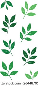 House plants home decor illustration.