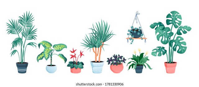 House plants home decor vector illustration set. Cartoon potted green plants flowers collection, houseplants in clay pot, hanging decorative flowerpots isolated on white