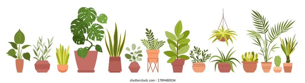 House plants home decor vector illustration set. Cartoon potted green plants flowers collection, houseplants in clay pot, hanging decorative flowerpots isolated on white background