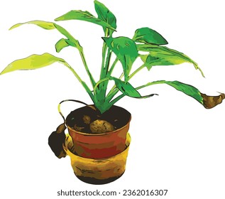 Plantas de la casa decoración del conjunto de ilustraciones vectoriales. colección de flores de plantas verdes, plantas de las casas en maceta de arcilla, macetas de flores colgantes aisladas en blanco 