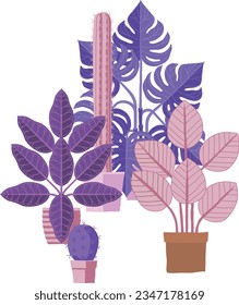 House plants or houseplants in pots stylised cartoon illustration