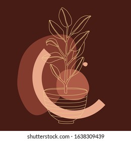 House plants illustration. Home flowers in pots and geometric shape. Abstract vector outline illustartion. Line art and flat style isolated on dark background for business logo, template and posters