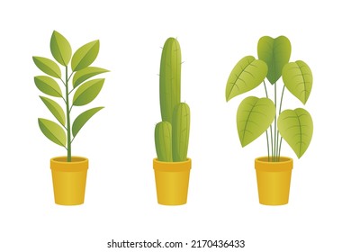 House plants illustration set. Exotic plant collection. collectible plant pots. House plants in pots.
