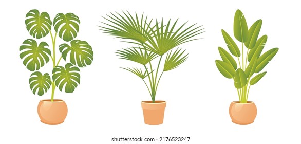 House plants illustration set. Exotic plant collection. Collectible plant pots. House plants in pots.