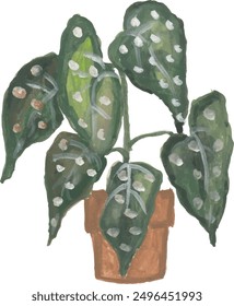 House plants illustration watercolor clipart design