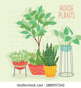 house plants inside colored pots design of Floral nature garden and ornament theme Vector illustration