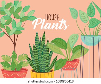 plantas de casa dentro de macetas sobre el diseño de fondo de crema de jardín natural floral y tema de adorno Ilustración vectorial