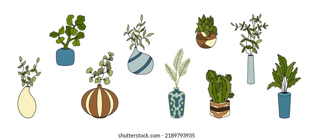 House plants, interior decor, set with vector illustrations of flowers. Clip art of vases with flowers. A pot with home flowers, succulents, ficuses.