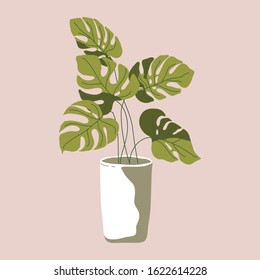 House plants isolated on pink background. Monstera. Potted plants. Stock vector illustration in flat style. Home decoration. Growing plants.