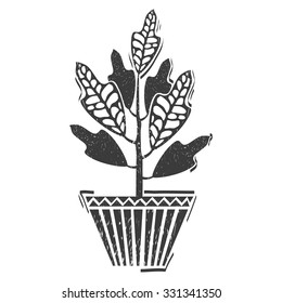 House plants: Kroton. Vector. Lino cut. Black and white