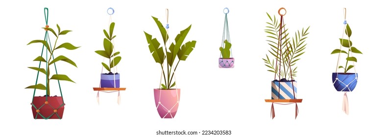 House plants in macrame hanging pots, isolated of flowers in rope hangers. Green planters in handmade holders for home interior decoration on white background, Cartoon vector illustration, icons set