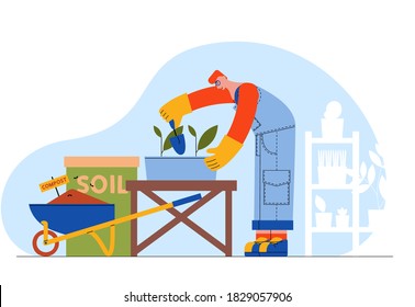 House plants and male farmer, gardener, with glasses planting the seedling. Vector flat illustration