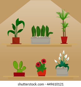 House Plants On Shelves Vector Illustration Stock Vector (royalty Free 