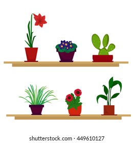  the house plants are on the shelves, vector illustration, house flowers in the room 