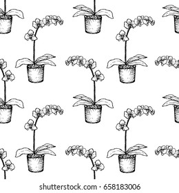 House Plants - Orchid - seamless pattern