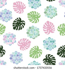 house plants pink purple blue green turquoise pastel succulent top view and monstera pink green leaves tropical summer paradise scandinavian style boho seamless pattern on a white background vector