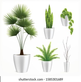 House Plants In Pot Realistic Composition With Stylish Plants In White Pots Vector Illustration