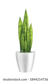 Plantas de la casa en composición realista de la olla con planta alta cultivada en el hogar aisladas en ilustración vectorial de fondo en blanco
