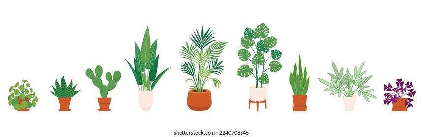 House plants in pot vector illustration set.  Indoor plants isolated on white background. Exotic Monstera, Oxalis, Sansevieria and other decoration green planting. Vector illustration on flat style.