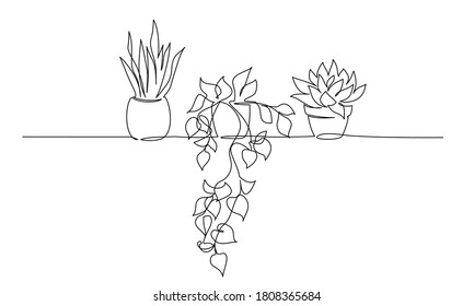 House plants in pots. Continuous one Line drawing. Isolated on White Background. Vector illustration.