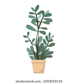 Plantas de casa en ollas. Elemento para casa de diseño, habitación u oficina. Elemento aislado sobre fondo blanco.